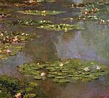 Calla Lilies Paintings - Water-Lilies 05 by Claude Monet